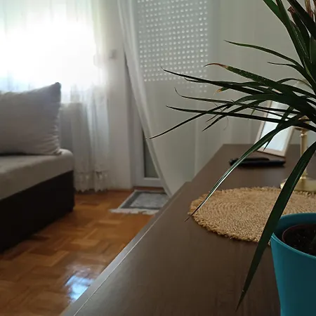 Ellena * Sarajevo